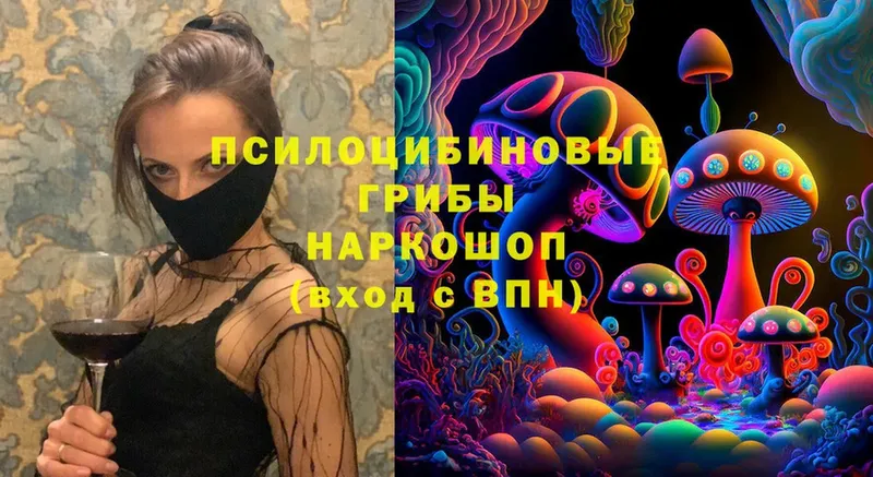 Псилоцибиновые грибы мицелий  Инза 