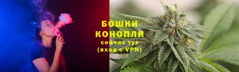 Бошки Шишки THC 21%  где найти   Инза 